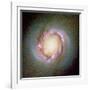 Star Birth In Galaxy NGC 4314-null-Framed Photographic Print