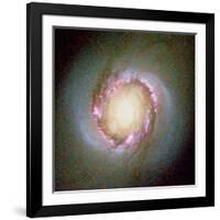 Star Birth In Galaxy NGC 4314-null-Framed Photographic Print