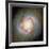 Star Birth In Galaxy NGC 4314-null-Framed Photographic Print