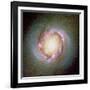 Star Birth In Galaxy NGC 4314-null-Framed Photographic Print