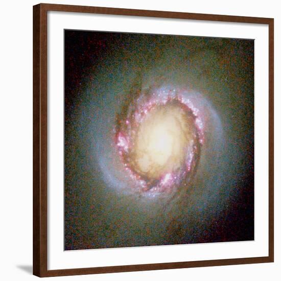 Star Birth In Galaxy NGC 4314-null-Framed Photographic Print