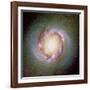 Star Birth In Galaxy NGC 4314-null-Framed Photographic Print