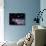 Star Birth In the Early Universe-null-Photographic Print displayed on a wall