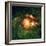 Star-birth Region, Space Telescope Image-null-Framed Premium Photographic Print