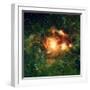 Star-birth Region, Space Telescope Image-null-Framed Premium Photographic Print