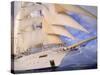 Star Clipper, 4-Masted Sailing Ship-Barry Winiker-Stretched Canvas