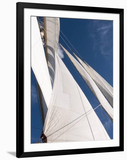 Star Clipper Sailing Cruise Ship, Deshaies, Basse-Terre, Guadeloupe, West Indies, French Caribbean-Sergio Pitamitz-Framed Photographic Print