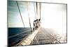 Star Clipper Sailing Cruise Ship, Deshaies, French Caribbean, France-Sergio Pitamitz-Mounted Photographic Print