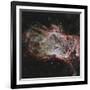 Star Clusters Ngc 2024 in the Center of the Flame Nebula-null-Framed Photographic Print