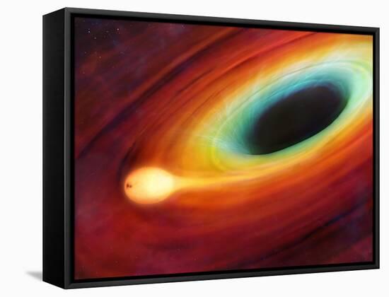 Star Distorted by Supermassive Black Hole-null-Framed Stretched Canvas