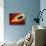 Star Distorted by Supermassive Black Hole-null-Stretched Canvas displayed on a wall