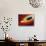 Star Distorted by Supermassive Black Hole-null-Stretched Canvas displayed on a wall