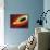 Star Distorted by Supermassive Black Hole-null-Framed Photographic Print displayed on a wall