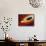 Star Distorted by Supermassive Black Hole-null-Framed Photographic Print displayed on a wall