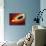 Star Distorted by Supermassive Black Hole-null-Mounted Photographic Print displayed on a wall