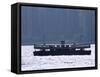 Star Ferry, Victoria Harbour, Hong Kong, China, Asia-Amanda Hall-Framed Stretched Canvas