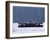 Star Ferry, Victoria Harbour, Hong Kong, China, Asia-Amanda Hall-Framed Photographic Print