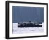Star Ferry, Victoria Harbour, Hong Kong, China, Asia-Amanda Hall-Framed Photographic Print