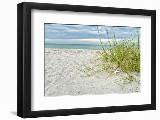 Star Fish and Sea Oats-Mary Lou Johnson-Framed Art Print