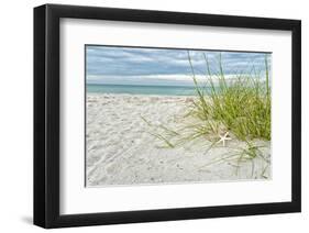 Star Fish and Sea Oats-Mary Lou Johnson-Framed Art Print