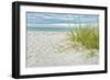 Star Fish and Sea Oats-Mary Lou Johnson-Framed Art Print