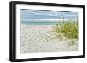 Star Fish and Sea Oats-Mary Lou Johnson-Framed Art Print