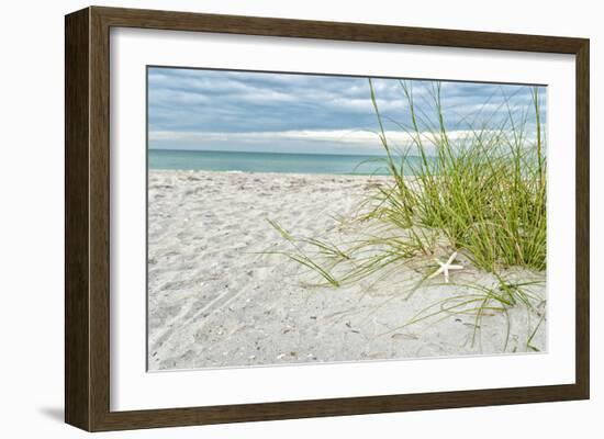 Star Fish and Sea Oats-Mary Lou Johnson-Framed Art Print