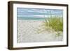 Star Fish and Sea Oats-Mary Lou Johnson-Framed Art Print