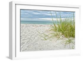 Star Fish and Sea Oats-Mary Lou Johnson-Framed Art Print