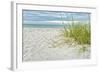 Star Fish and Sea Oats-Mary Lou Johnson-Framed Art Print