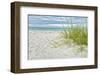 Star Fish and Sea Oats-Mary Lou Johnson-Framed Giclee Print