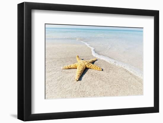 Star Fish Line of Surf-Mary Lou Johnson-Framed Art Print