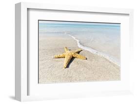 Star Fish Line of Surf-Mary Lou Johnson-Framed Art Print