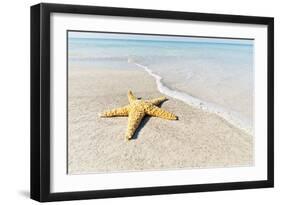 Star Fish Line of Surf-Mary Lou Johnson-Framed Art Print