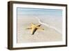 Star Fish Line of Surf-Mary Lou Johnson-Framed Art Print