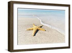 Star Fish Line of Surf-Mary Lou Johnson-Framed Art Print