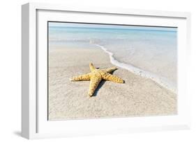 Star Fish Line of Surf-Mary Lou Johnson-Framed Art Print