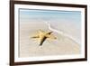 Star Fish Line of Surf-Mary Lou Johnson-Framed Art Print