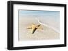 Star Fish Line of Surf-Mary Lou Johnson-Framed Giclee Print