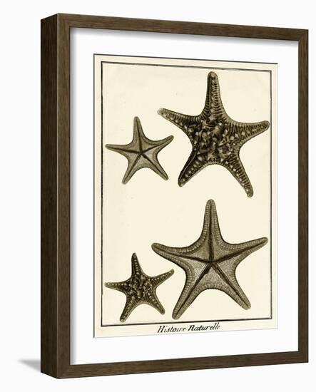 Star Fish Series I-null-Framed Art Print