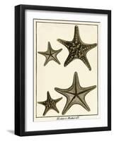 Star Fish Series I-null-Framed Art Print