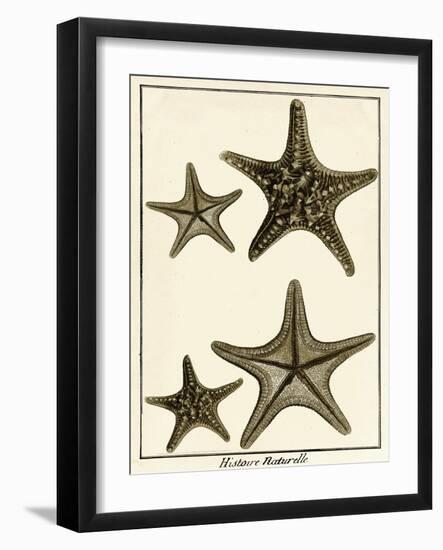 Star Fish Series I-null-Framed Art Print