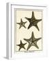 Star Fish Series I-null-Framed Art Print