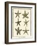 Star Fish Series III-null-Framed Art Print