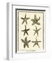 Star Fish Series III-null-Framed Art Print