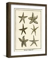 Star Fish Series III-null-Framed Art Print