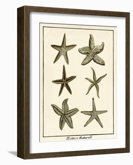 Star Fish Series III-null-Framed Art Print