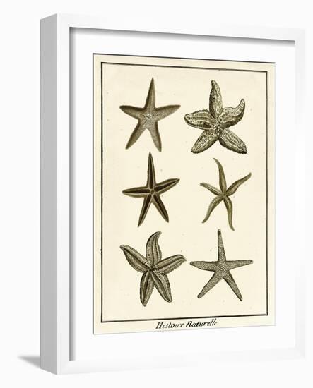 Star Fish Series III-null-Framed Art Print