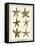 Star Fish Series III-null-Framed Stretched Canvas