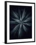 Star Flower-Design Fabrikken-Framed Photographic Print